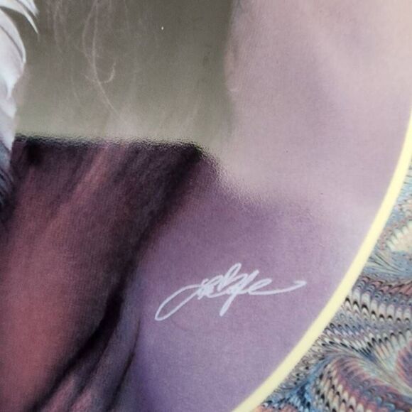 The Bradford Exchange White Feather by Lee Bogle in the Native Beauty Collection - Picture 2 of 4